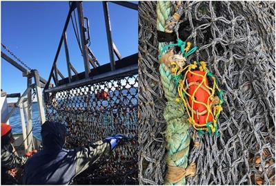 Fishing Gear as a Data Collection Platform: Opportunities to Fill Spatial and Temporal Gaps in Operational Sub-Surface Observation Networks